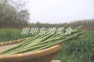  崇明 蔬菜之王 自种新鲜有机绿芦笋 粗 嫩 现拔 去根 抗癌佳