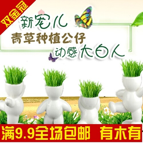生态E园 最新款动感小白人 大号 好种易生长发芽率高(我快活)