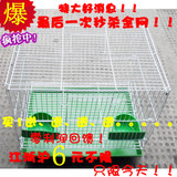 taobao english 13065310068