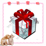 taobao english 12395482262
