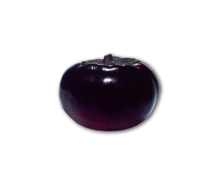  天地生精品蔬菜 圆茄子500g 北京满百包邮