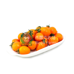  小番茄新鲜圣女果樱桃番茄水果蔬菜沙拉伴侣黄色 布露克农场推荐