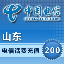 山东电信200元