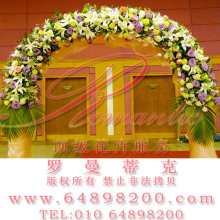 专业色彩搭配婚礼布景|实拍09A16|绿玫瑰紫玫瑰蓝莲进口鲜花拱门