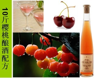  20斤樱桃酒辅料套餐 酿酒辅料套餐 包括法国进口酵母果胶酶等
