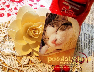  PINTANG 猫国物语 POLA/宝丽莱 lomo卡片 涂鸦卡 32张入