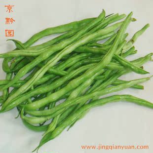  【京黔园】绿色食品新鲜蔬菜 蛇豆 蛇豆角 长豆角 北京同城配送