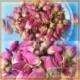 花草茶 玫瑰花粉玫瑰 50克 保健养
