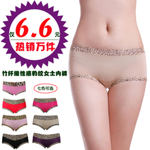 Ůʿ����ά��ɫ�ڿ�  �ڿ�Ů �����ڿ�  Ůʿ�ڿ�8������