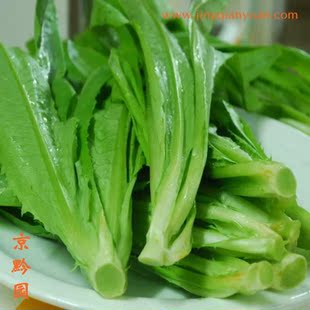  【京黔园】绿色食品优质蔬菜 油麦菜 北京买菜当天送到家