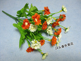 taobao english 12583405738