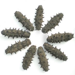  皇纯 野生淡干海参 皇纯品牌 好评如潮 3.9-4.3cm  按只卖