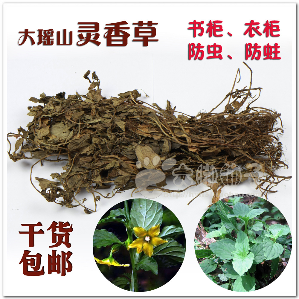Guangxi Kim Soo Dayao Spiritual herbs wardrobe Bookcase Pest control Insect Moth proofing bulk 500gin the Home Daily , Deworming supplies , Mold decay category - from Buy2taobao.com to provide professional Taobao agent buy service