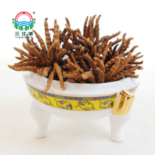  三江源牌特级冬虫夏草3g组合 青海虫草极品 正品直销包邮