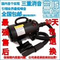 蓝豚宠物吹水机吹风机【噪音更低 加热更快】新款 广东江浙沪包邮