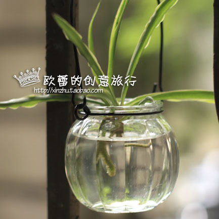 玻璃花瓶/小花瓶/壁挂花瓶/迷你花器/铁丝吊瓶/花器瓶子zakka杂货