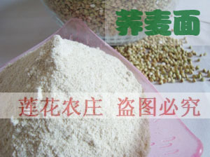  【莲花农庄】天然粉粉 纯荞麦面粉 现拍现磨500克 农家 面粉