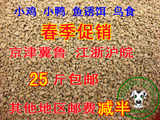 高品质小鸡饲料小鸭八哥幼雏鸡粮元宝鸡草鸡鱼诱饵250克 赠鸡病液
