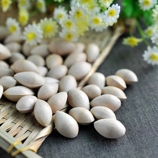  新鲜特级泰兴大佛指白果 银杏果 无烂果无漂白 江浙沪5斤包邮