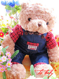 毛绒 情人节    生日 节日礼物 Tobaby正品 娃娃 毛绒玩具 ...