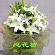 纯洁的祝福-长沙鲜花南京鲜花重庆鲜花深圳鲜花南通鲜花杭州鲜花