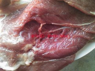  河源乡下自养家猪_瘦肉，农村散养土猪，土猪肉，决对没有瘦肉精