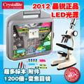 六一礼物 晶锐2012 LED金属变焦1200倍 工具箱 学生 儿童 显微镜