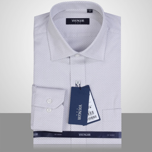  专柜正品 雅戈尔长袖衬衫 DP纯棉免烫男士正装提花衬衣 商务衬衫