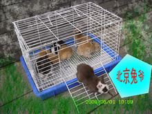兔笼笼子兔笼子小白兔子笼子高级小兔子笼子alex兔子笼 送磨牙棒
