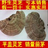 taobao english 6956709359