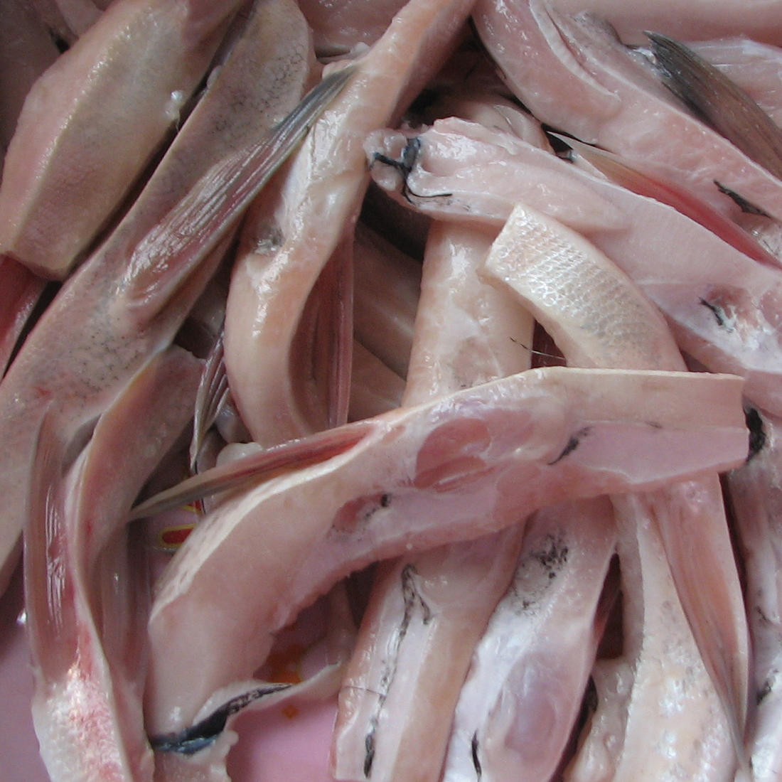 fresh Fish maw fresh Plump Bighead Chub Fat head Vacuum installation Segmentation Fish and meatin the Aquatic meat/Fresh fruits and vegetables/Cooked , Seafood/Aquatic/Product , Freshwater Fish category - from Buy2taobao.com to provide professional Taobao agent buy service