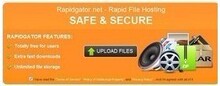 【皇冠自动售货】rapidgator高级账号 一月30天独享 可改密码