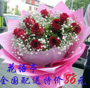 11朵玫瑰花束鲜花速递苏州花店哈尔滨 鲜花速递无锡 鲜花速递南京