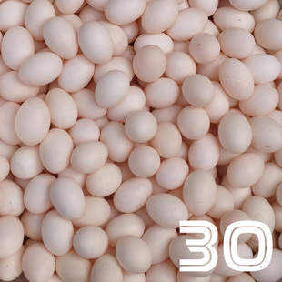  全国包邮 恒沃直供 精选鸽子蛋30只 宝宝孕妇最佳辅食 精