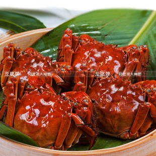  加1元多4只 龙斌阳澄湖大闸蟹公3.5-3.2两母2.5-2.2两8只公母对半