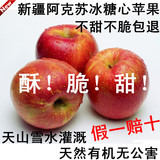 果农直销批发 新疆阿克苏冰糖心苹果 13斤/箱/预售/全网最低价