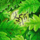 设计公司品质，淘宝价格 的LOGO设计，标志-店标-注册商标设计