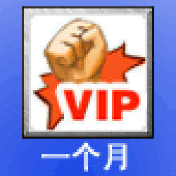VS竞技平台VIP1个月VS点卡VS对战平台会员VIP一个月卡 自动充值