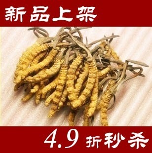  【超值断草】特级冬虫夏草 断草 同仁堂级别虫草 20克免邮