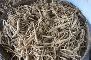 贵州苗药 野生中药草药 野党参 保证正品