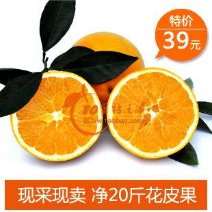  预定正宗赣南脐橙 新鲜水果 现采 好吃不好看  花皮果皮丑9省包邮