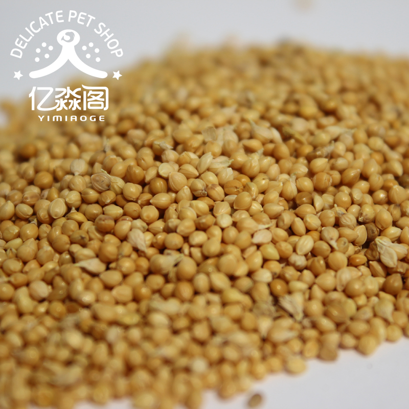 One hundred million Miao Court natural millet Millet Hamsters Since with Hamster Food Hamsters foodstuff snacks Cereals 100gin the Pet/Pet food and supplies , Class pet hamsters and other small , Feed/Snacks category - from Buy2taobao.com to provide professional Taobao agent buy service