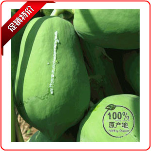 现摘新鲜水果 广西青木瓜番木瓜 可丰胸催奶下