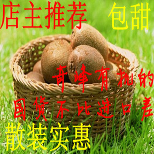  新鲜水果陕西奇峰有机奇异果野生猕猴桃批发30个特价不包邮