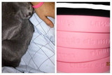 taobao english 10005559213