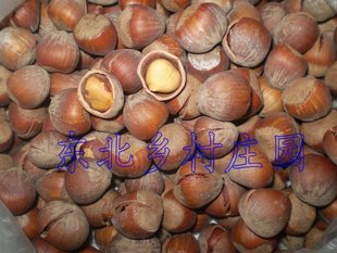  东北野生山榛子*颗粒饱满*水漂大开口 特别香的榛子 口感好极了
