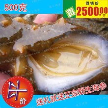 钻石信誉 100%好评 长岛原产刺参 无盐超干100-110头500克