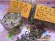 特级罗布麻花+罗布麻茶叶(组合)