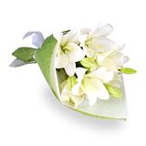【雅龙英国鲜花速递】欧洲鲜花速递|英国鲜花预定|海外鲜花速递