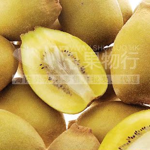  新鲜水果 过节送礼 正宗新西兰佳沛黄金奇异果/黄心猕猴桃 大果
